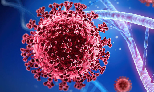 കോ​​വി​​ഡ്​ : വി​​ദ്യാ​​ഭ്യാ​​സ മ​​ന്ത്രാ​​ല​​യം പു​​തി​​യ മാ​​ർ​​ഗ​​നി​​ർ​​ദേ​​ശ​​ങ്ങ​​ൾ പു​​റ​​പ്പെ​​ടു​​വി​​ച്ചു