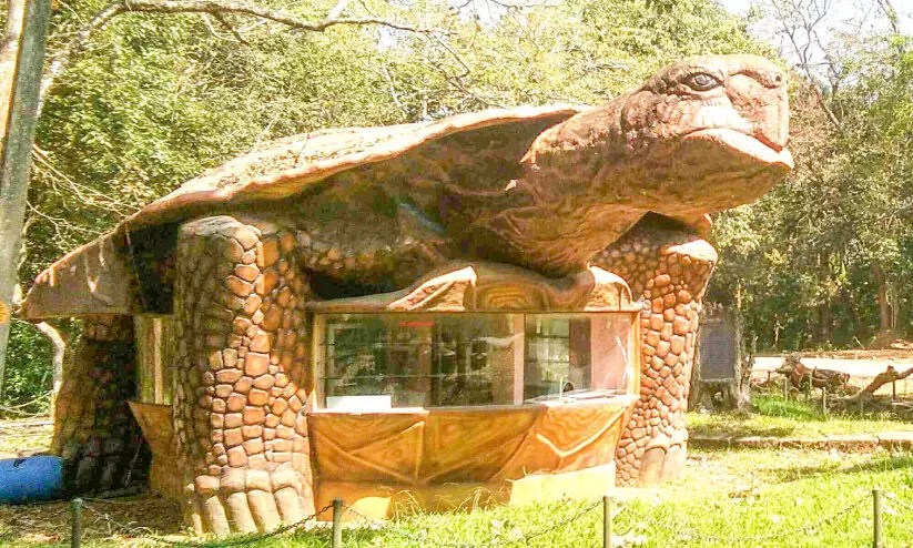 thekkady tortoise shop