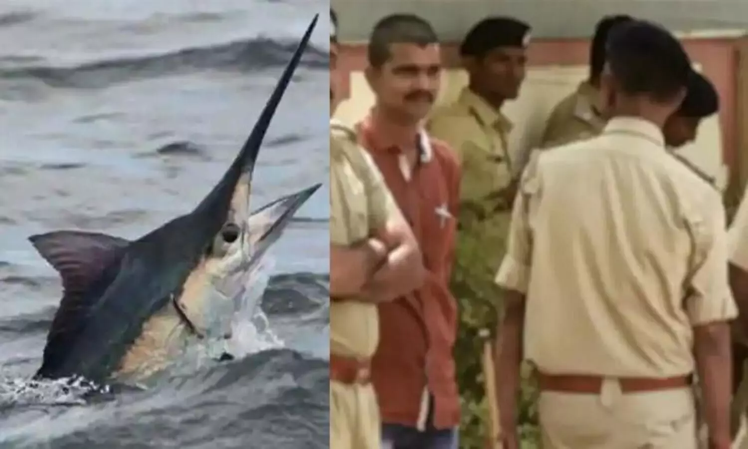 മത്സ്യത്തൊഴിലാളിയെ ആക്രമിച്ച് കൊന്നു; മത്സ്യത്തിനെതിരേ കേസെടുത്ത് പൊലീസ്