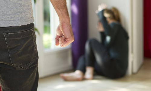 ഗാർഹിക അതിക്രമം; സർവേയിൽ പങ്കെടുക്കണമെന്ന്