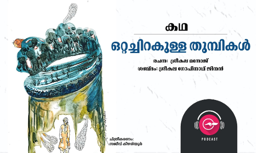 ഒറ്റച്ചിറകുള്ള തുമ്പികൾ -കഥ