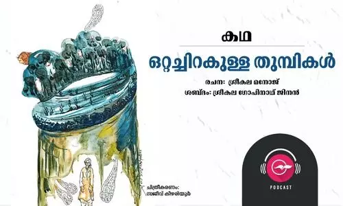 ഒറ്റച്ചിറകുള്ള തുമ്പികൾ -കഥ