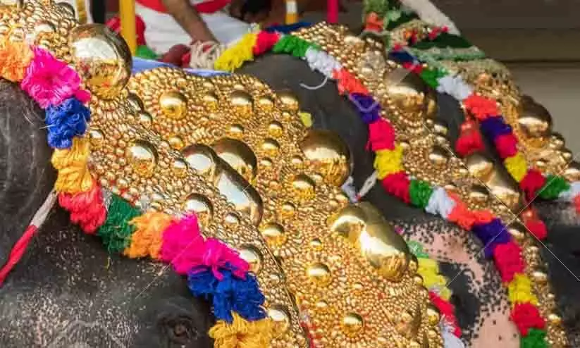 ഗുരുവായൂർ ഉത്സവം; ആനയോട്ടത്തിന് ഒരാന മാത്രം ഗുരുവായൂർ ഉത്സവം; ആനയോട്ടത്തിന് ഒരാന മാത്രം