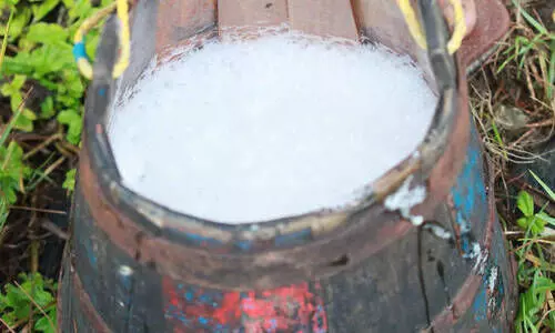 സ്പിരിറ്റിന്‍റെയും വ്യാജക്കള്ളിന്‍റെയും കേന്ദ്രമായി ആലുവ