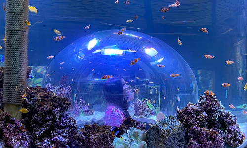 അബൂദബി നാഷനല്‍ അക്വേറിയം സന്ദര്‍ശിച്ചത് ഒരുലക്ഷത്തോളം പേര്‍