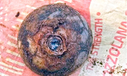 വേളാപുരത്തെ​ ബോംബ് ചൈനീസ് പടക്കം