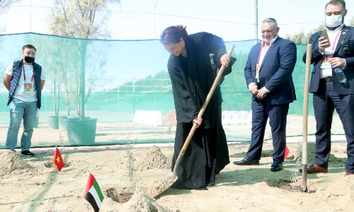 ദുബൈ മണ്ണിൽ ഇനി 190 രാജ്യങ്ങളിലെ വൃക്ഷങ്ങൾ ദുബൈ മണ്ണിൽ ഇനി 190 രാജ്യങ്ങളിലെ വൃക്ഷങ്ങൾ