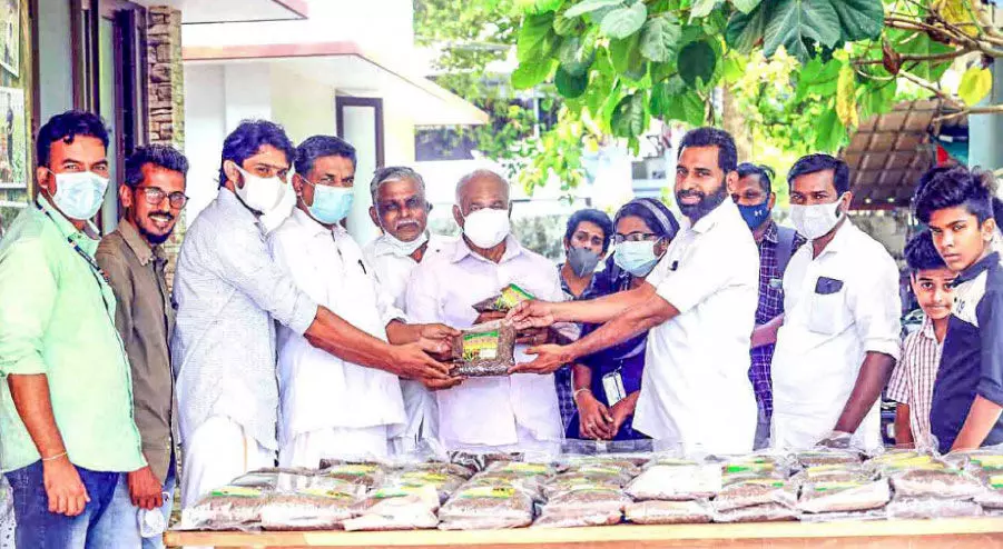 Pokkali rice grown by students to the market