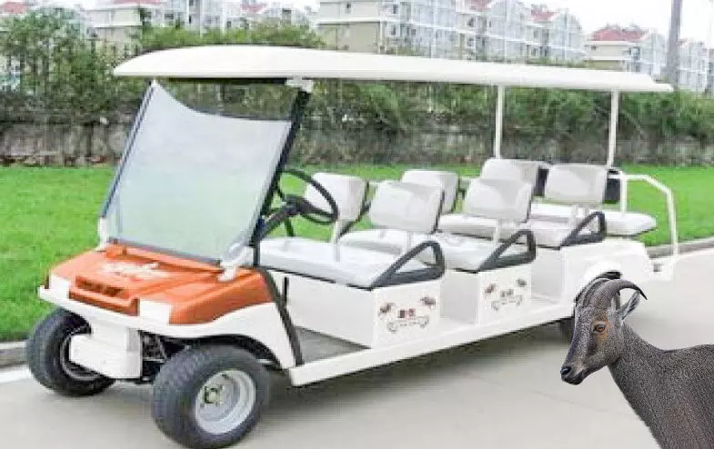 bagi car...Eravikulam National Park