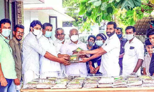 Pokkali rice grown by students to the market