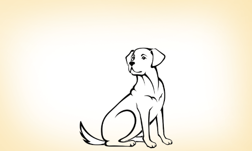 തെ​രു​വു​​നാ​യ് നി​യ​​ന്ത്ര​ണ ന​ട​പ​ടി പു​രോ​ഗ​മി​ക്കു​ന്നു