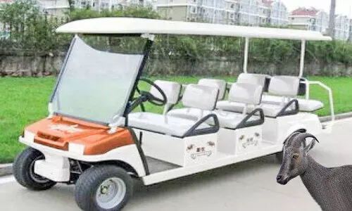 bagi car...Eravikulam National Park