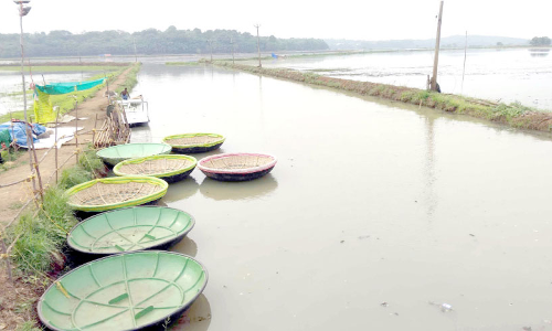 വിനോദ സഞ്ചാര കേന്ദ്രമായി വളരാൻ ഒരുങ്ങി കരിങ്ങാലിപ്പാടം
