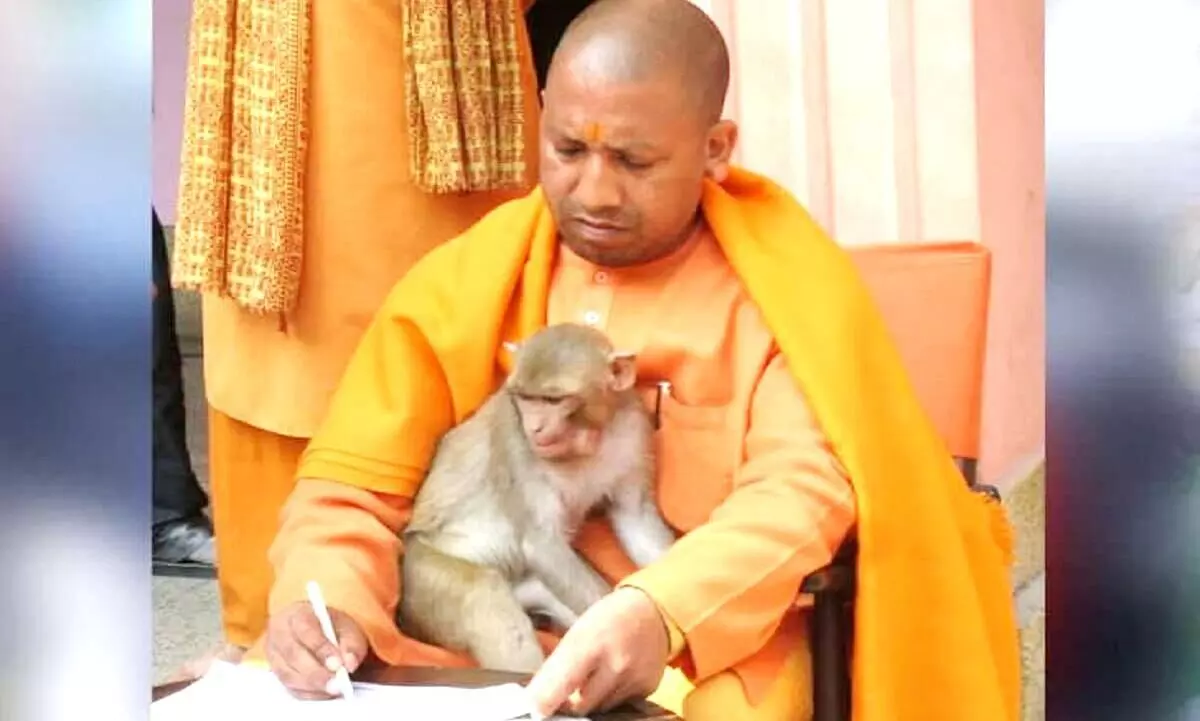 യു.പിയെ കേരളമാക്കരുത്; വിദ്വേഷവുമായി വീണ്ടും യോഗി ആദിത്യനാഥ് യു.പിയെ കേരളമാക്കരുത്; വിദ്വേഷവുമായി വീണ്ടും യോഗി ആദിത്യനാഥ്