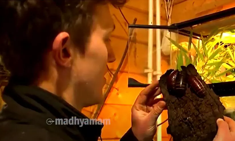 വാലന്‍റൈസ് ഡേയിൽ പ്രണയപ്പക തീർക്കാൻ അവസരം നൽകി മൃഗശാല; അവസരമുപയോഗപ്പെടുത്താൻ തിരക്കോട് തിരക്ക്