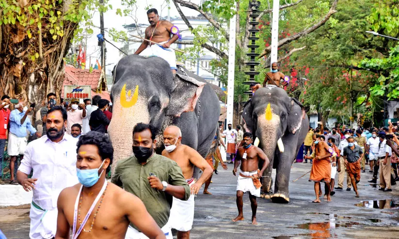 ഗുരുവായൂര് ആനയോട്ടം: രവികൃഷ്ണൻ ജേതാവ് ഗുരുവായൂര് ആനയോട്ടം: രവികൃഷ്ണൻ ജേതാവ്