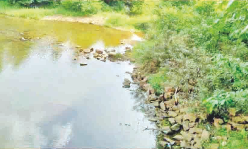 വേനൽ കനത്തു; പുഴകളും തോടുകളും വറ്റി തുടങ്ങി വേനൽ കനത്തു; പുഴകളും തോടുകളും വറ്റി തുടങ്ങി