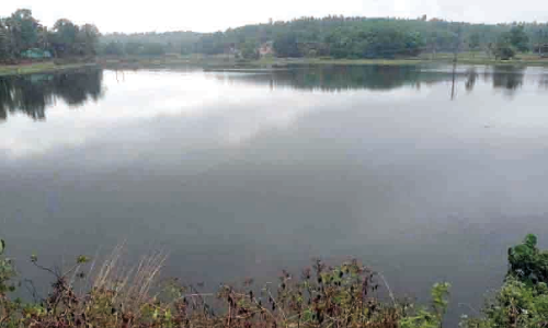 പഴഞ്ചിറയുടെ പ്രത്യേകതകൾ തേടി ജൈവ വൈവിധ്യ പഠനം