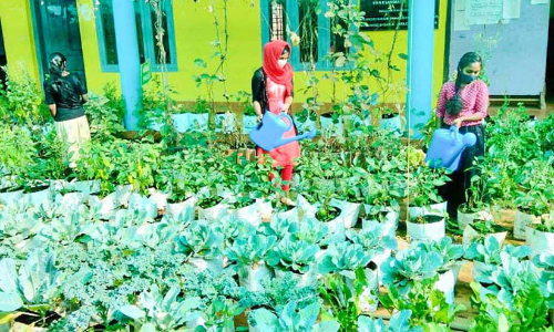 ഈ സ്കൂൾ മുറ്റം നിറയെ കൃഷിപാഠം