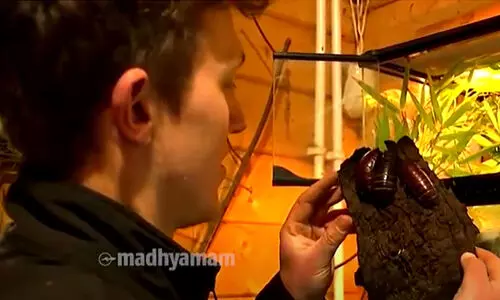 വാലന്‍റൈസ് ഡേയിൽ പ്രണയപ്പക തീർക്കാൻ അവസരം നൽകി മൃഗശാല; അവസരമുപയോഗപ്പെടുത്താൻ തിരക്കോട് തിരക്ക്