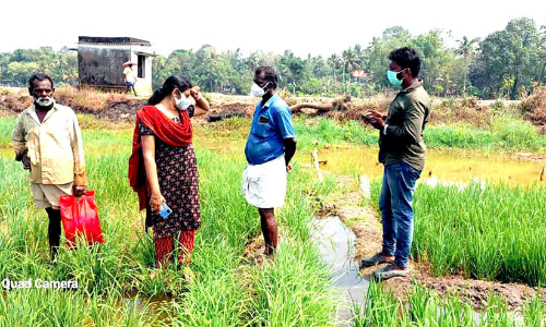 കുഴല്‍ പുഴുവിനെ തുരത്താൻ പാടത്തെ വെള്ളം ഒഴുക്കിക്കളയണം