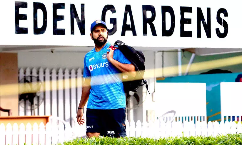 eden gardens