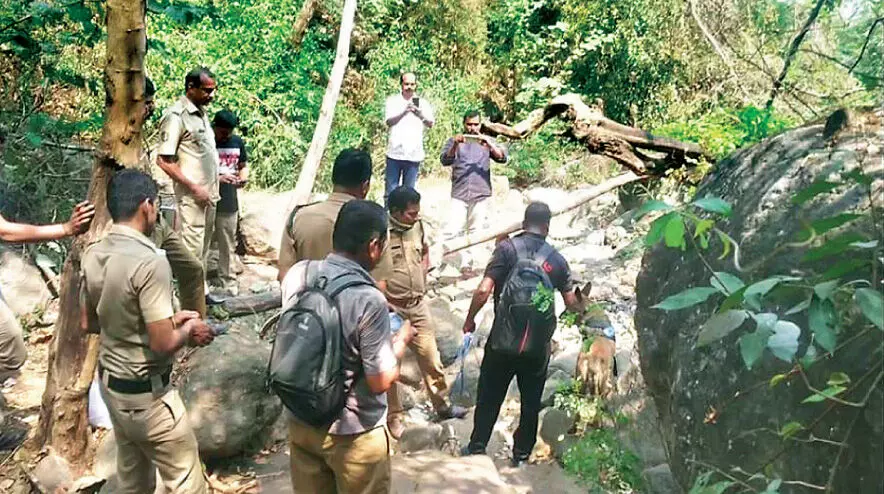 Search in the area where the skull was found