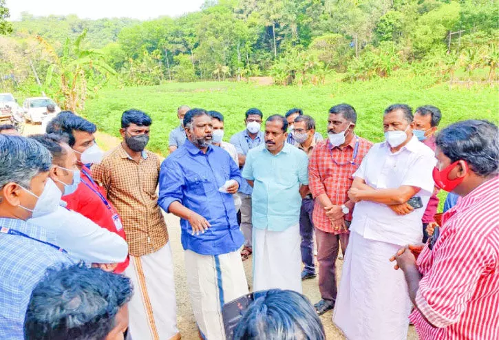 പന്നിശല്യം; രാസലായനി തളിച്ച കൃഷിയിടം ശുചീകരിക്കും പന്നിശല്യം; രാസലായനി തളിച്ച കൃഷിയിടം ശുചീകരിക്കും