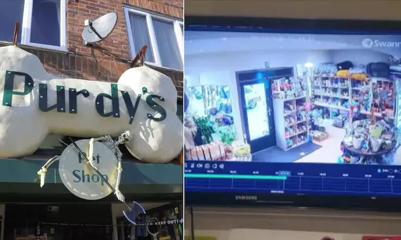 തൻെറ കടയിൽ പ്രേതമുണ്ടെന്ന് ഉടമ; ശരിവെച്ച് ഗോസ്റ്റ് ഹണ്ടേഴ്സ് -വൈറലായി വീഡിയോ തൻെറ കടയിൽ പ്രേതമുണ്ടെന്ന് ഉടമ; ശരിവെച്ച് ഗോസ്റ്റ് ഹണ്ടേഴ്സ് -വൈറലായി വീഡിയോ