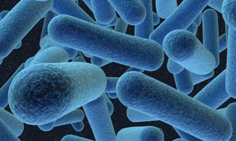 കു​ഷ്ഠ​രോ​ഗ നി​ര്‍മാ​ര്‍ജ്ജ​ന​ത്തി​ന് ‘അ​ശ്വ​മേ​ധം’; ജി​ല്ല​യി​ല്‍ ഇ​ന്ന് തു​ട​ക്കം