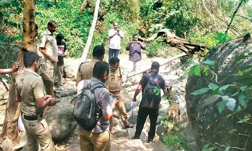 Search in the area where the skull was found