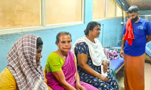 തൊഴിലുറപ്പിനിടെ കടന്നൽക്കുത്തേറ്റ് ഒമ്പതുപേർക്ക് പരിക്ക്