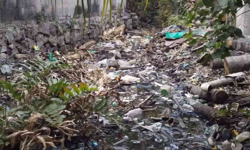 ല​ക്ഷം​വീ​ട് കോ​ള​നി​യി​ൽ മാ​ലി​ന്യ​ക്കൂ​ന; പ്ര​ദേ​ശ​വാ​സി​ക​ൾ രോ​ഗ ഭീ​തി​യി​ൽ