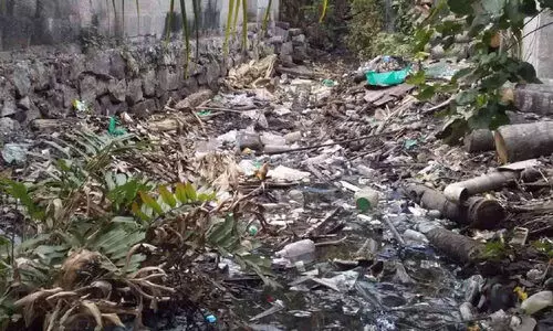 ല​ക്ഷം​വീ​ട് കോ​ള​നി​യി​ൽ മാ​ലി​ന്യ​ക്കൂ​ന; പ്ര​ദേ​ശ​വാ​സി​ക​ൾ രോ​ഗ ഭീ​തി​യി​ൽ