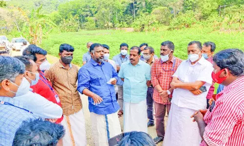 പന്നിശല്യം; രാസലായനി തളിച്ച കൃഷിയിടം ശുചീകരിക്കും