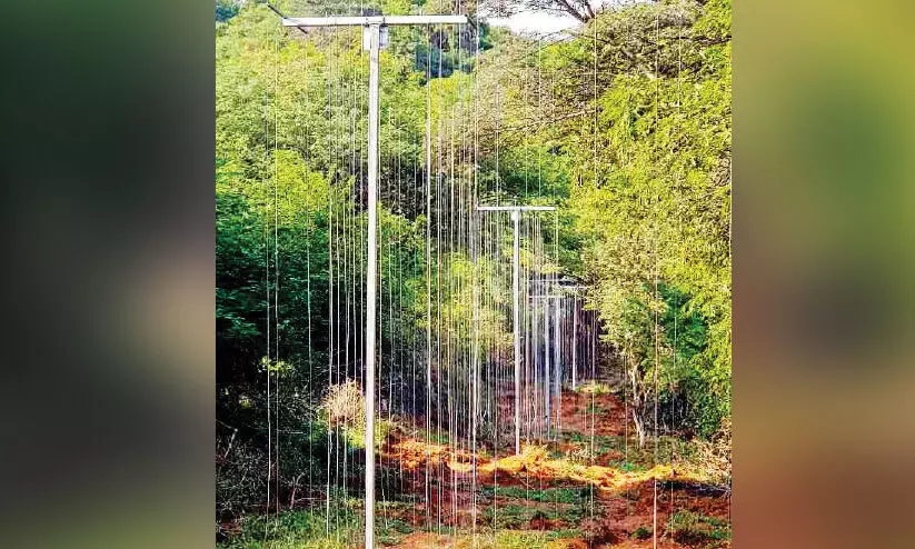 കാട്ടാനകളെ തടയും; കർണാടക അതിർത്തിയിൽ തൂക്കുവേലി നിർമാണം മാർച്ച് ആദ്യം