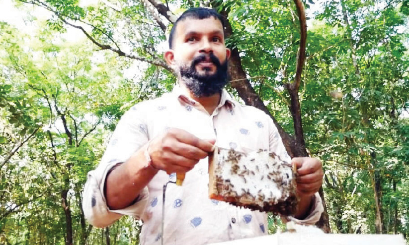 തേനൂറും പാഠപുസ്തകമായി പ്രഭാത് തേനൂറും പാഠപുസ്തകമായി പ്രഭാത്