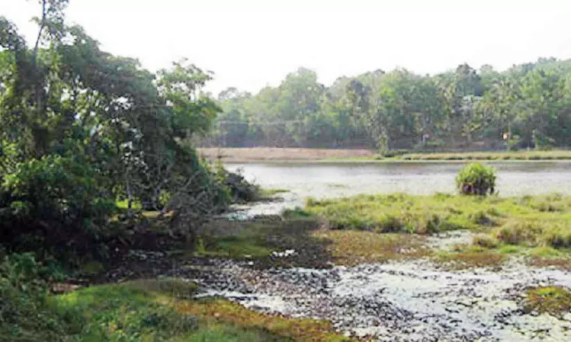 അരുവിക്കര ഡാം: സംഭരണശേഷി വർധിപ്പിക്കാനുള്ള പദ്ധതികൾ പ്രഖ്യാപനങ്ങളിലൊതുങ്ങുന്നു