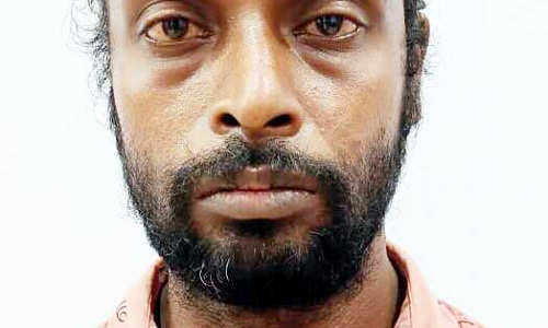 Home burglary Defendant arrested