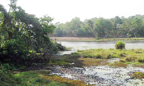 അരുവിക്കര ഡാം: സംഭരണശേഷി വർധിപ്പിക്കാനുള്ള പദ്ധതികൾ പ്രഖ്യാപനങ്ങളിലൊതുങ്ങുന്നു