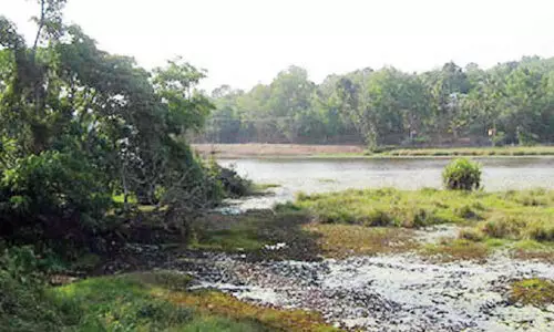 അരുവിക്കര ഡാം: സംഭരണശേഷി വർധിപ്പിക്കാനുള്ള പദ്ധതികൾ പ്രഖ്യാപനങ്ങളിലൊതുങ്ങുന്നു