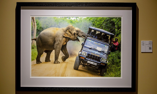 കാ​​ടി​​ന്‍റെ അ​​പ​​ക​​ടം പ​​റ​​ഞ്ഞ്​ എ​​ക്സ്​​​പോ​​ഷ​​റി​​ലെ ചി​​ത്രം