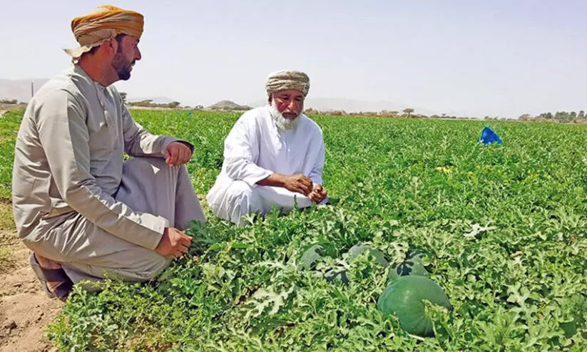ഭ​ക്ഷ്യ​സു​ര​ക്ഷ: 610 ഏ​ക്ക​റി​ൽ കൃ​ഷി ഒ​രു​ക്കാ​ൻ മ​ന്ത്രാ​ല​യം