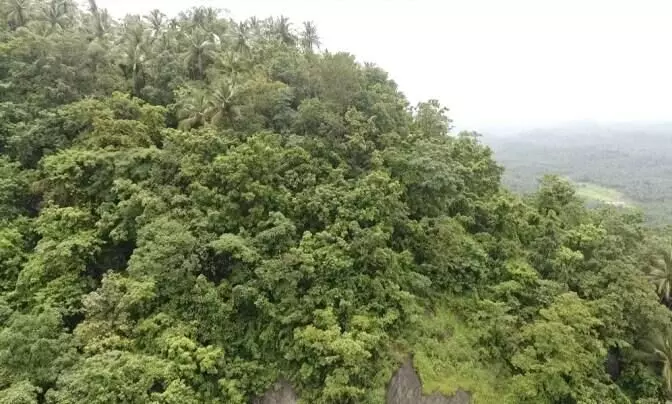 ചെങ്ങോടുമല ഖനനം: പാരിസ്ഥിതികാനുമതിക്കായി ക്വാറി കമ്പനി കേന്ദ്രത്തിൽ അപേക്ഷ നൽകി ചെങ്ങോടുമല ഖനനം: പാരിസ്ഥിതികാനുമതിക്കായി ക്വാറി കമ്പനി കേന്ദ്രത്തിൽ അപേക്ഷ നൽകി