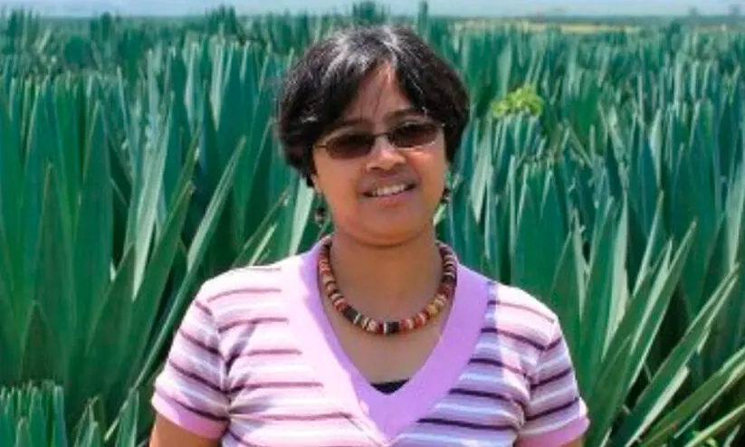 മാധ്യമപ്രവർത്തക നാട്ടിൽ നിര്യാതയായി മാധ്യമപ്രവർത്തക നാട്ടിൽ നിര്യാതയായി