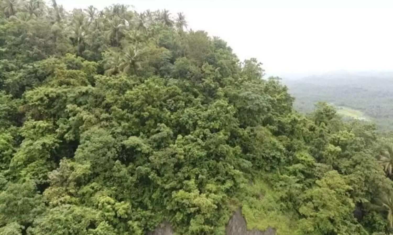 ചെങ്ങോടുമല ഖനനം: പാരിസ്ഥിതികാനുമതിക്കായി ക്വാറി കമ്പനി കേന്ദ്രത്തിൽ അപേക്ഷ നൽകി