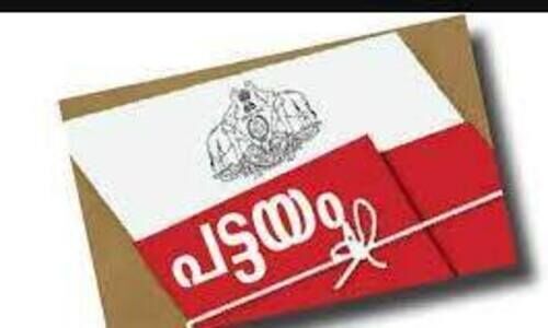 പേപ്പർ മിൽ മേഖലയിലെ പട്ടയ വിതരണം: നടപടികൾ പുരോഗമിക്കുന്നു