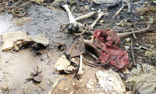 ഇത്തിക്കരയാറ്റിൽനിന്ന്​ മനുഷ്യന്‍റെ അസ്ഥികൂട ഭാഗങ്ങൾ കണ്ടെത്തി