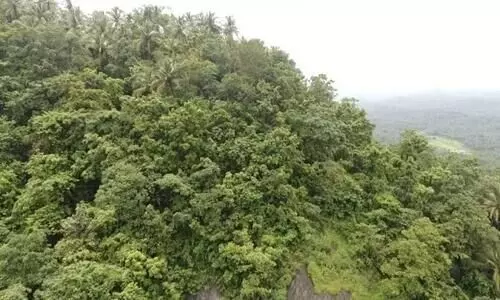 ചെങ്ങോടുമല ഖനനം: പാരിസ്ഥിതികാനുമതിക്കായി ക്വാറി കമ്പനി കേന്ദ്രത്തിൽ അപേക്ഷ നൽകി