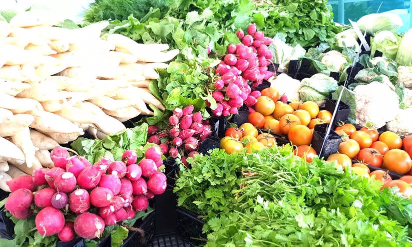 പ്രാദേശിക ഭക്ഷ്യ ഉൽപാദനം കൂട്ടാൻ സർക്കാർ പ്രാദേശിക ഭക്ഷ്യ ഉൽപാദനം കൂട്ടാൻ സർക്കാർ